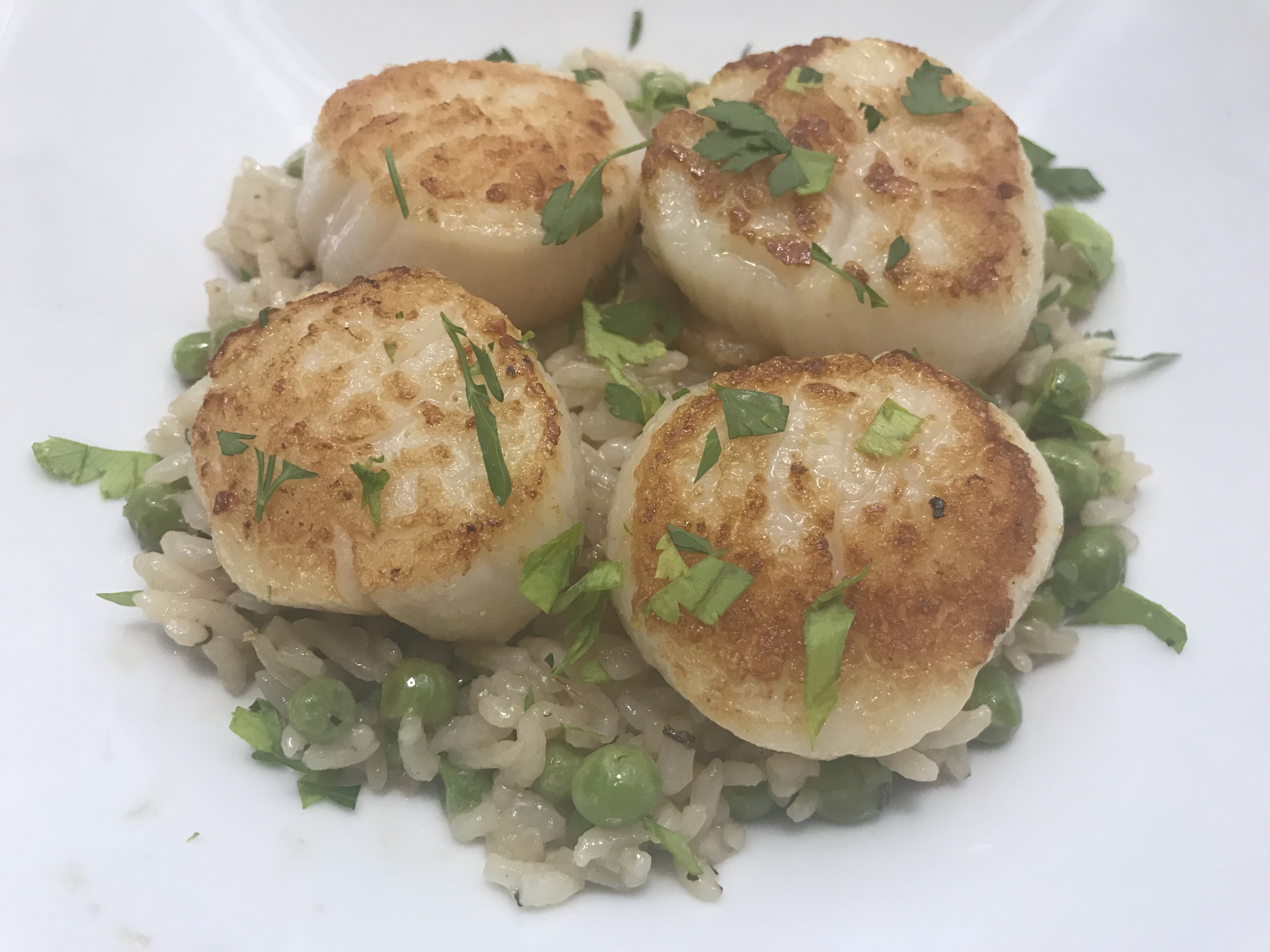 You are currently viewing Scallops
